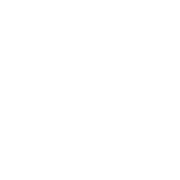 white logi-technic logo
